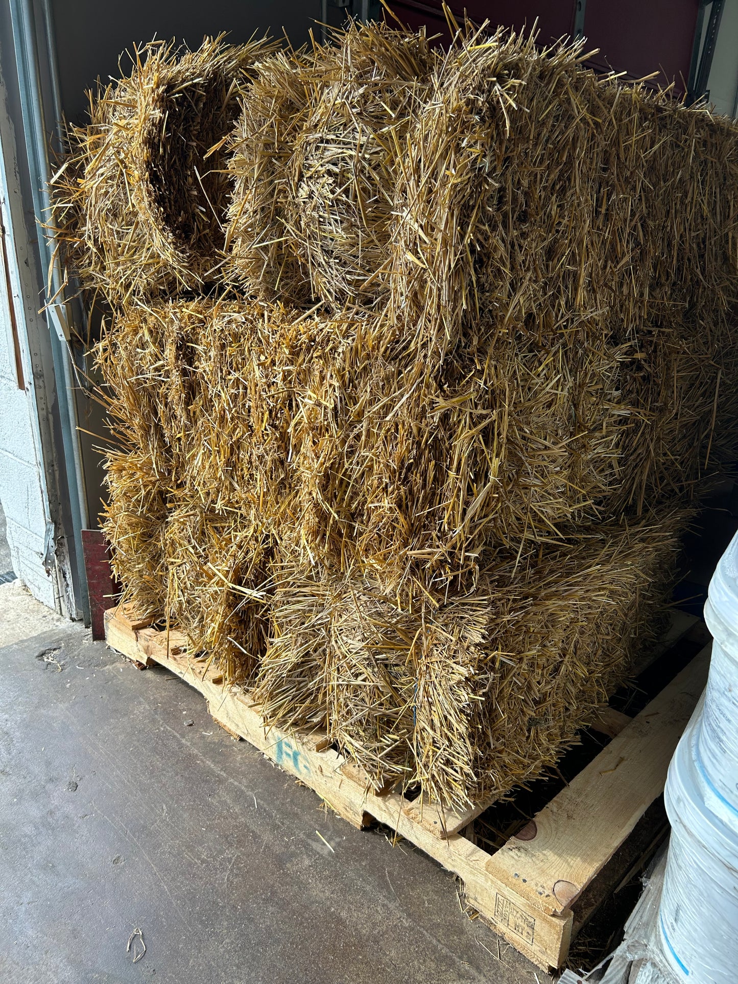 Lucky 7 Distributing Square Straw Bale