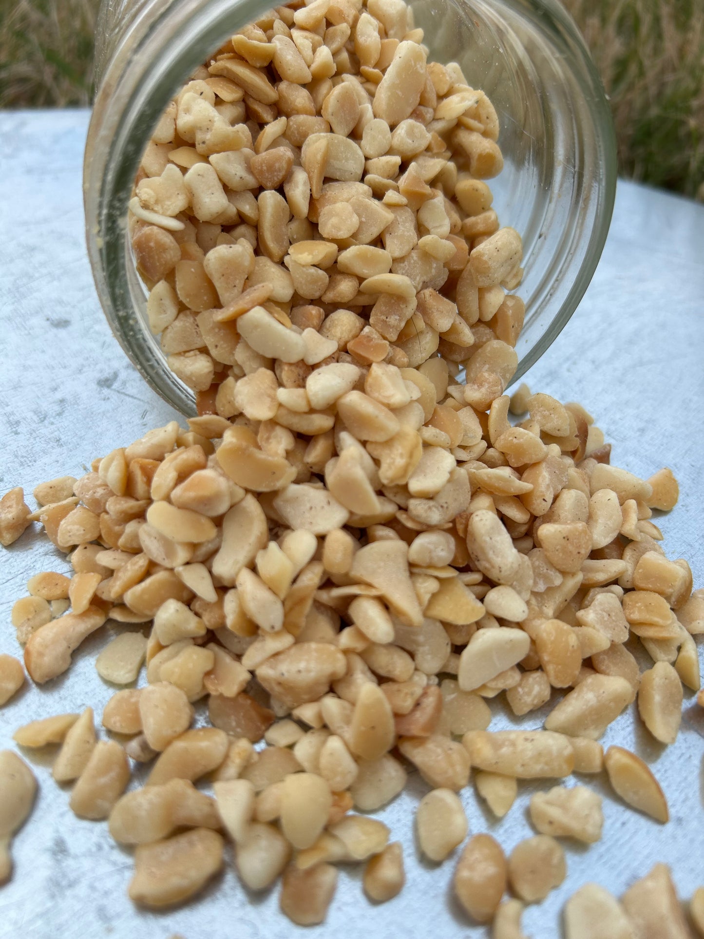 Dry Roasted and Chopped Unsalted Macadamia Nuts for Wildlife