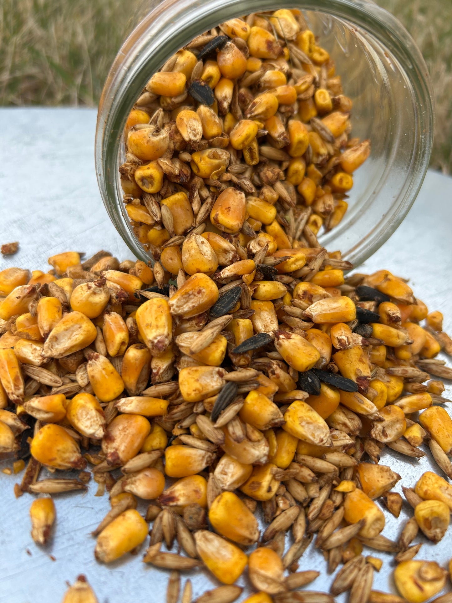 Lucky 7 Distributing Wildlife Feed